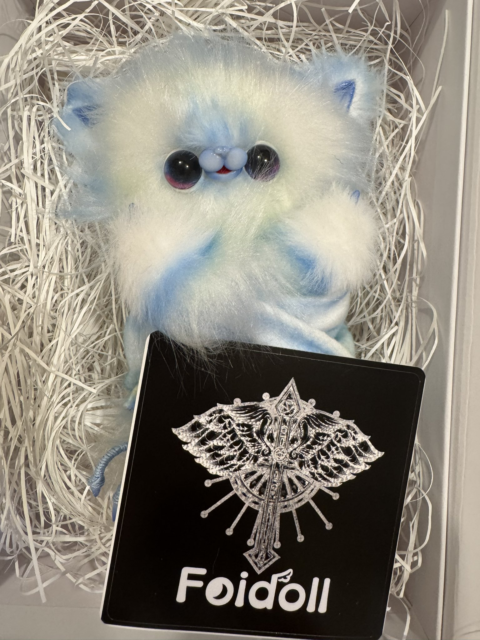 foidoll - Search / X