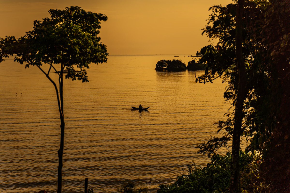 Entebbe Forest Lodge tweet media