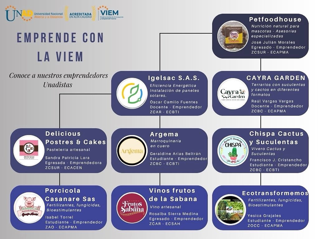 🌟 De la Idea al Impacto con la VIEM
Cada semana, conoce 9 emprendimientos UNAD asesorados por la VIEM.
Impulsamos ideas con creatividad y sostenibilidad para llevar el emprendimiento a otro nivel 🚀
📣 ¡Apoya y comparte!
#VamosVIEM #TalentoUNAD #EmprendeConLaUNAD