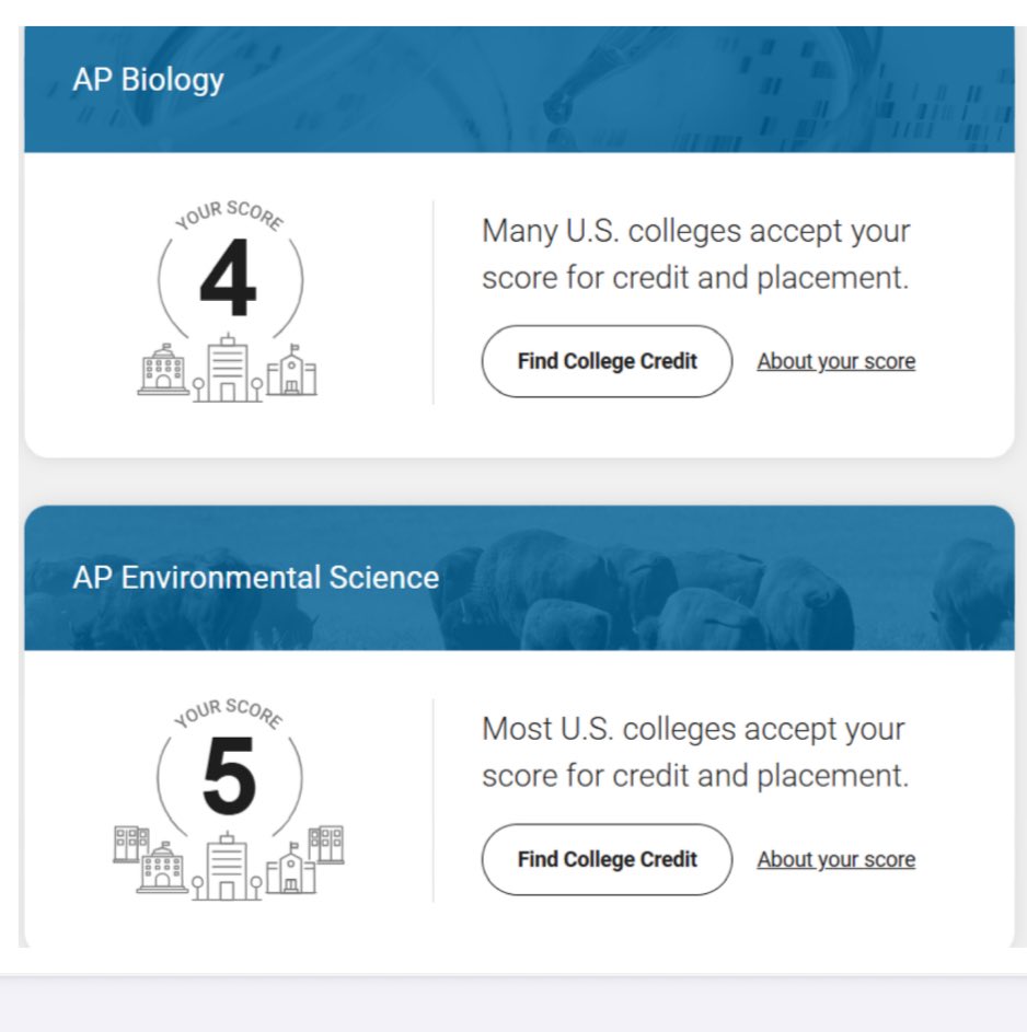 Michael_Wellet's tweet image. AP scores to follow my 6-semester transcript &amp;amp; senior schedule from last week for those who are interested. @StJosephFB @TeamGetBodied @mfarrellsports @damehova9 @ScoutNickP @DebraWellet