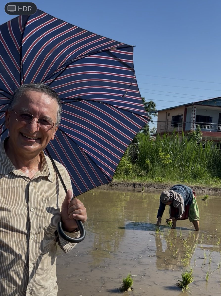 Glad to start our Ropai ! Hot and hot , even the water in the paddy field felt very hot . With the continued shift in weather pattern, there are lot of uncertainties in farming needing various levels of adaptatiosn. #Bhedabarifarming .