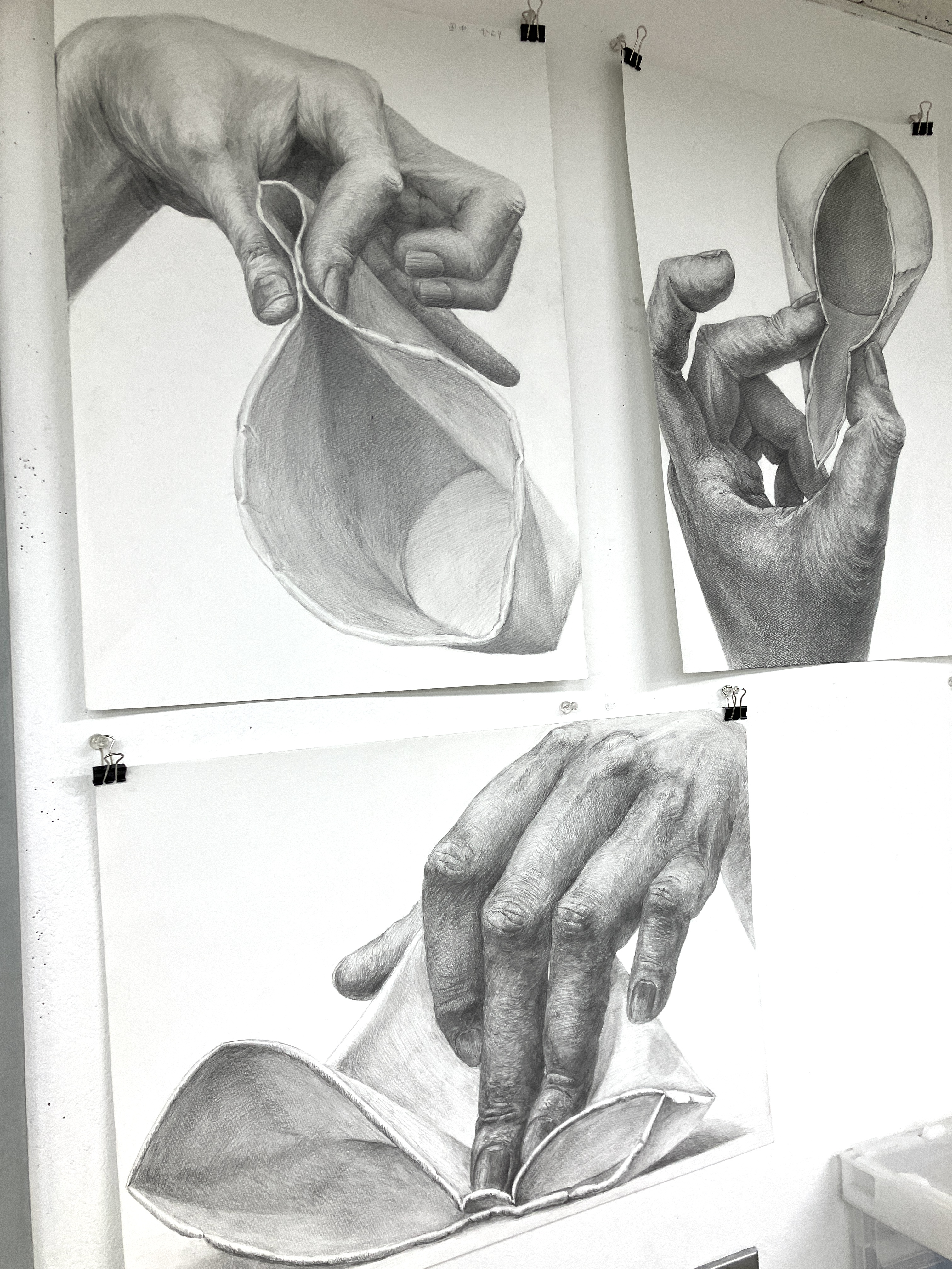 予備校講師が描くアリアス　藝大デザイン科を目指す方へ。500mm×650mm 石膏デッサン ホビー・楽器・アート 予備校講師が描くアリアス 藝大