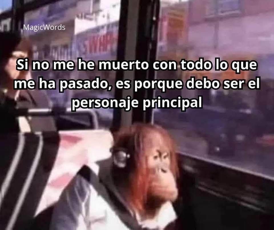 nxstypxet's tweet image. 