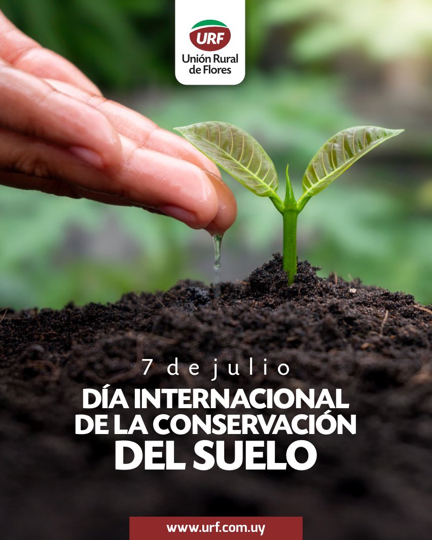 🌱 Recuperar el suelo es asegurar el futuro.

Hoy, 7 de julio, nos sumamos al Día Internacional de la Conservación del Suelo, reafirmando nuestro compromiso con una producción responsable, que proteja los recursos naturales y garantice el bienestar de las generaciones que vienen.