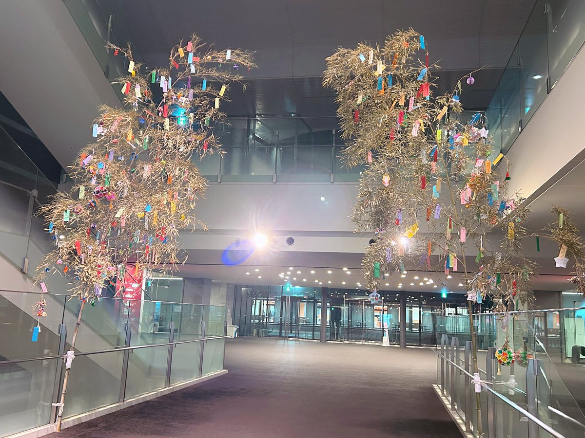 くにおんの七夕🎋
#国立音楽大学