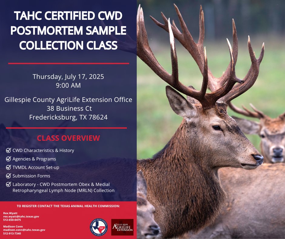 ‼️TAHC is offering a FREE Certified CWD Postmortem Collection class, July 17 in Fredericksburg. The class will include a lecture followed by a hands-on laboratory session. 

Reach out to the listed contacts to register!