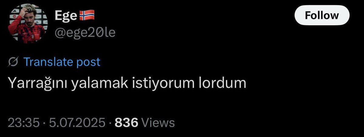 Kaan tweet media