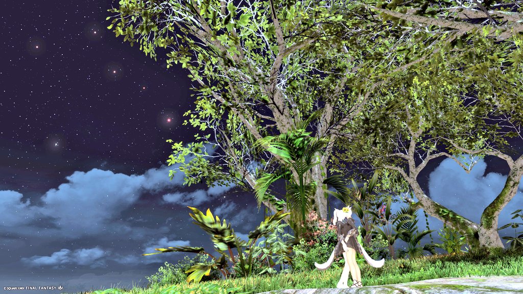#FF14