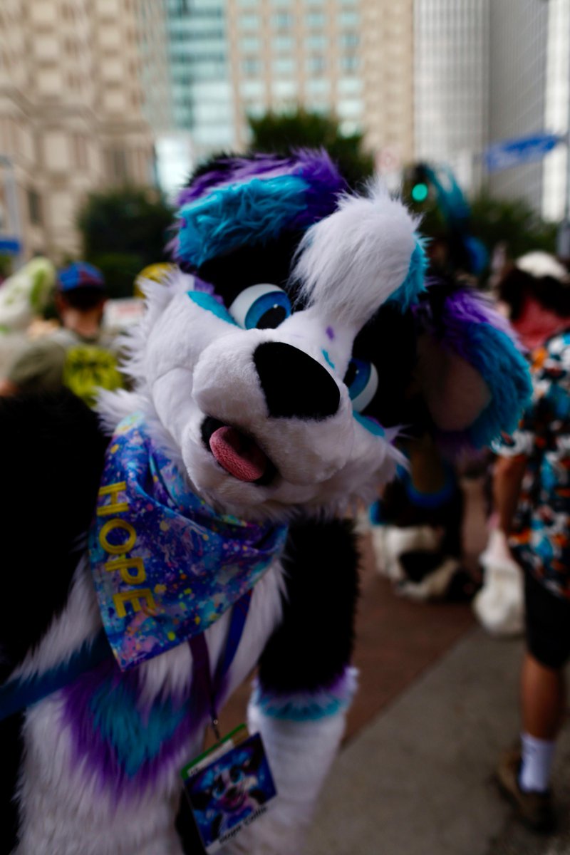 Met <a href="/HopeCollie/">Hope Collie</a> at #anthrocon2025  . Thank you so much for chatting with me and doing a small video clip. It was the only video I captured at AC this.