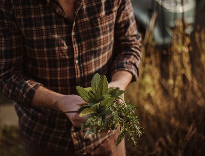 novararc's tweet photo. Starting rehab in Virginia is the beginning of what’s next. Fresh starts grow into lasting sobriety with personalized care and ongoing support at the right addiction recovery center. 🌱
https://t.co/S3aFjvPeRA
#addictionrecovery #startfresh #IOP #virginia #rehab #novararecovery https://t.co/TWIGsuFJBo