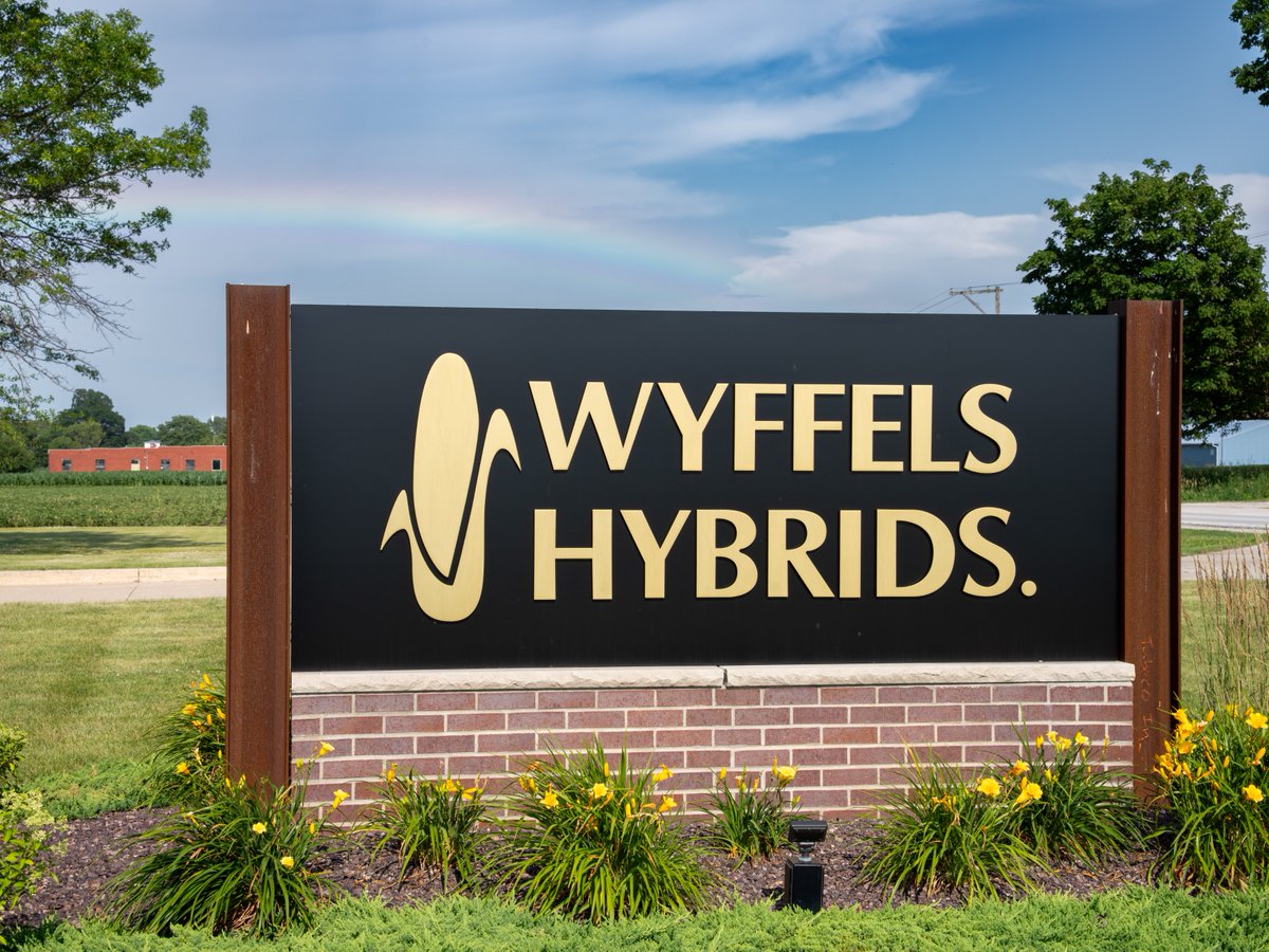 WyffelsHybrids's tweet image. It's all sunshine & rainbows here in Wyffels Country.
(Well, we know better than to count on perfect weather, but we’ll enjoy this moment while it lasts.)