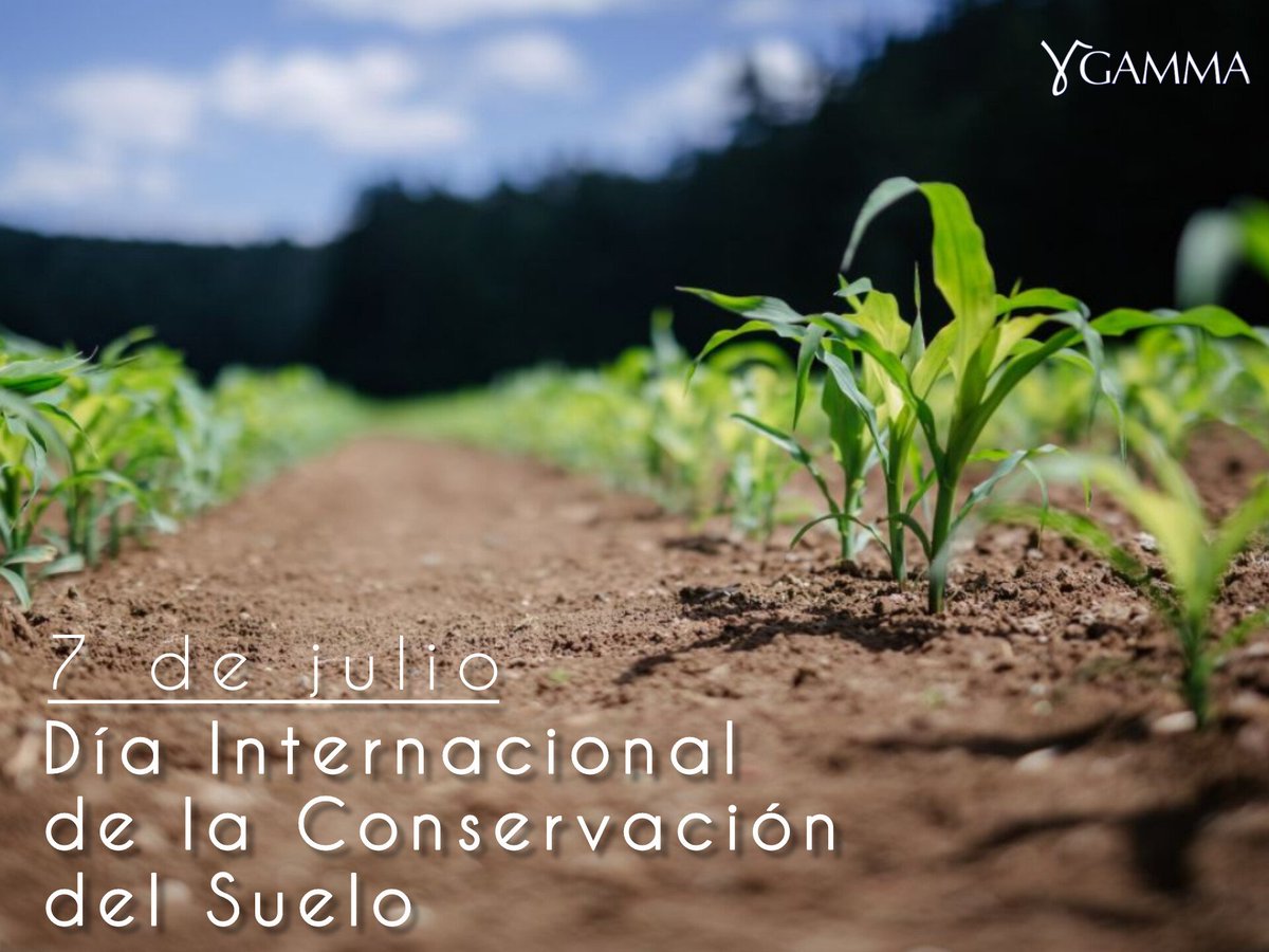 Gamma_Cuba (@cuba_gamma) on Twitter photo #GAMMA || 🌍 Hoy es el Día Internacional de la Conservación del Suelo. Recurso clave para alimentos, agua y clima. Protegerlo es asegurar el futuro. #DíaDelSuelo #7deJulio #DesarrolloSostenible <a href="/citmacuba/">Ministerio de Ciencia, Tecnología y Medio Ambiente</a> <a href="/Grupo_INNOMAX/">Grupo Empresarial INNOMAX</a> <a href="/CubaTareaVida/">Tarea Vida Cuba</a> #GAMMA || 🌍 Hoy es el Día Internacional de la Conservación del Suelo. Recurso clave para alimentos, agua y clima. Protegerlo es asegurar el futuro. #DíaDelSuelo #7deJulio #DesarrolloSostenible <a href="/citmacuba/">Ministerio de Ciencia, Tecnología y Medio Ambiente</a> <a href="/Grupo_INNOMAX/">Grupo Empresarial INNOMAX</a> <a href="/CubaTareaVida/">Tarea Vida Cuba</a>