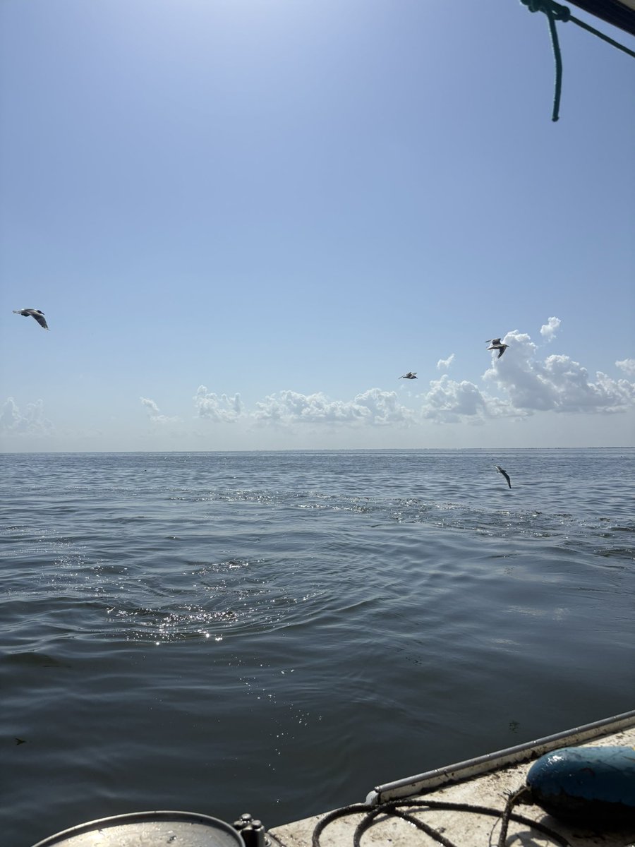 Thank you lord for blessing me with another day doing what I love. #crablife #pontchartrainblues #buylocal