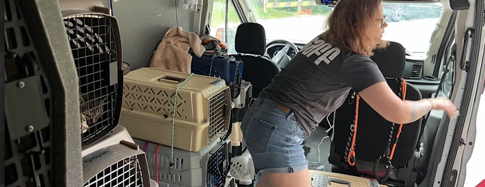 AnimalsFA22's tweet photo. Texas is underwater, over 80 lives lost. Homes destroyed, communities gone, amidst the heartbreak, animals are still being pulled from rooftops, mudbanks, and collapsed homes, injured and terrified.
Donate: https://t.co/pBeKjYV5Sd #AnimalsFirstAid #TexasFloods #AnimalLovers https://t.co/9hqyW60IgV