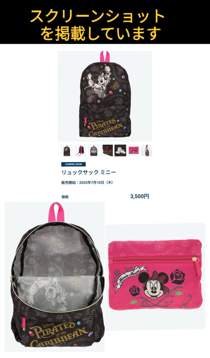 タグ付き 新品 ベリーベリーミニー リュック ディズニーリゾート限定 ベリーベリーミニー！ リュック