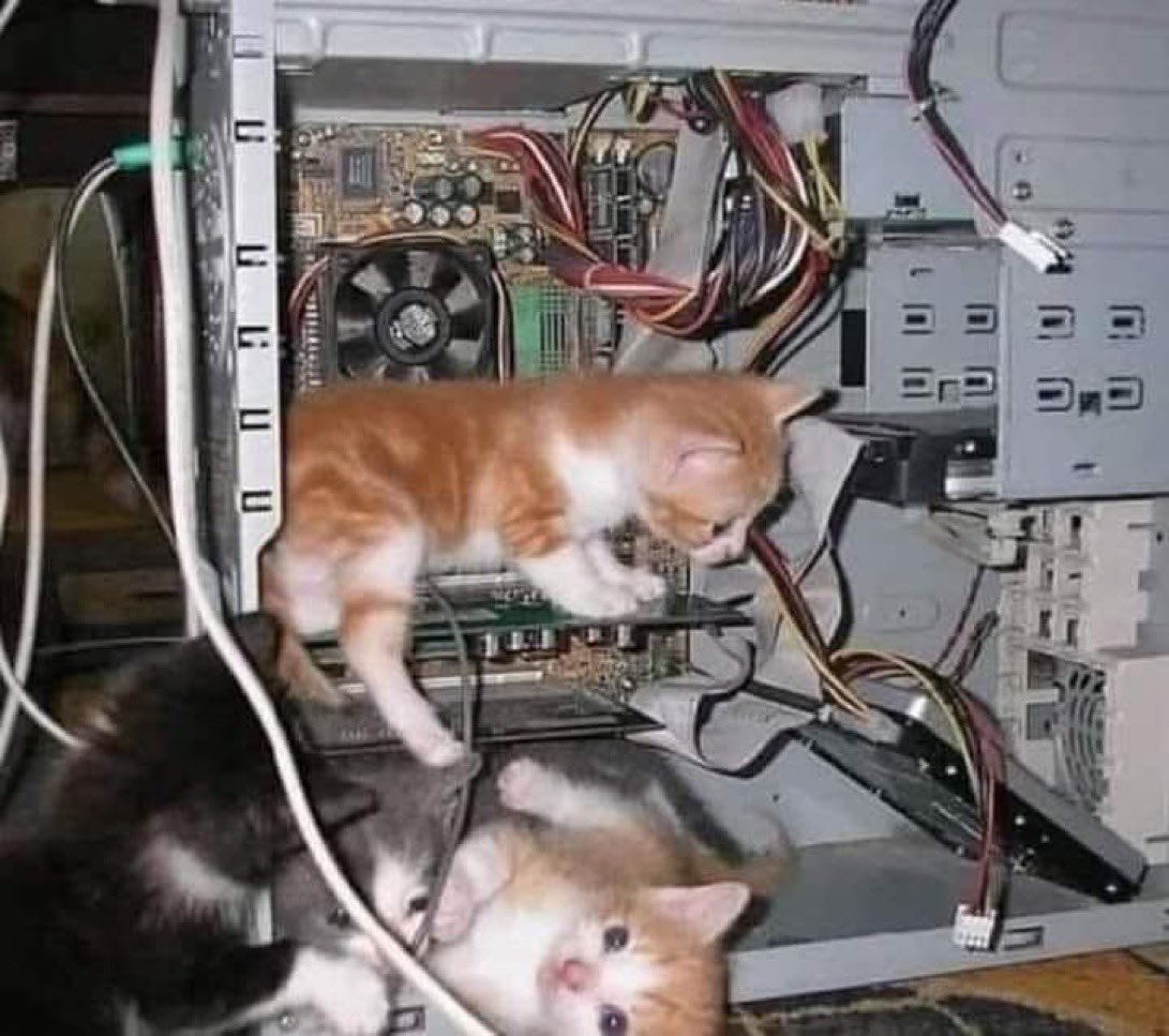 ilyrusty's tweet image. Both pictures are me at work