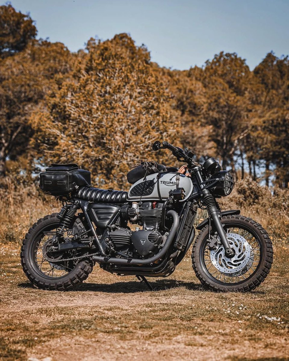 Triumph Motorcycles (@triumphamerica) on Twitter photo The Triumph T120 turns any trail into an adventure 🌳 📷: Brave Coast Cafe Racers  
#ForTheRide #TriumphMotorcycles #T120 The Triumph T120 turns any trail into an adventure 🌳 📷: Brave Coast Cafe Racers  
#ForTheRide #TriumphMotorcycles #T120