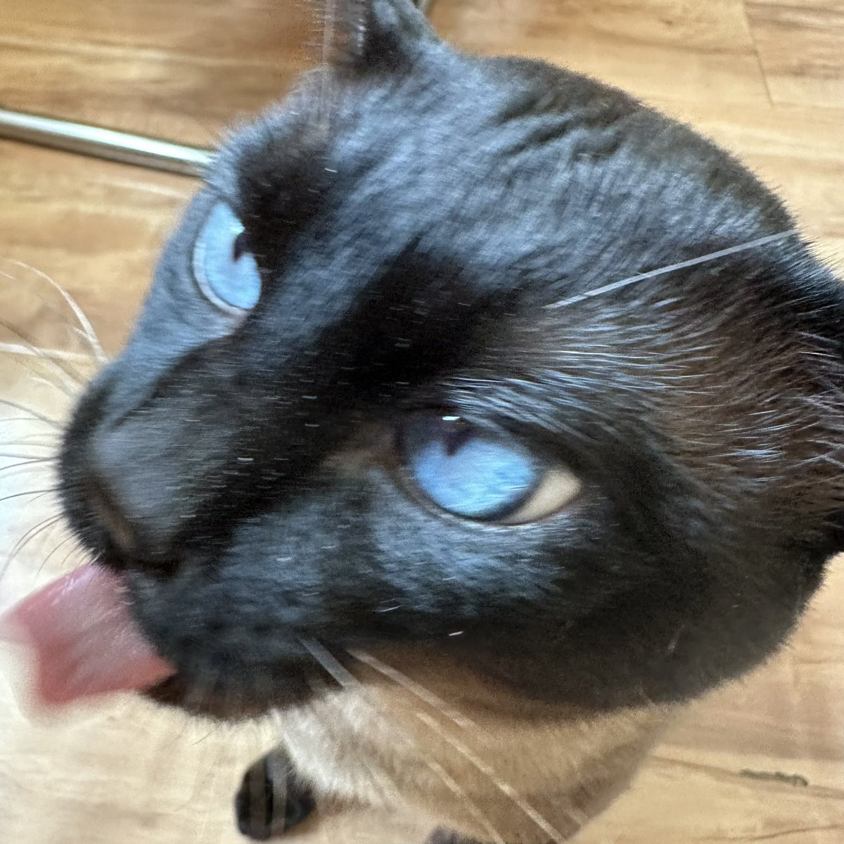 这五年我把你养成了什么？？