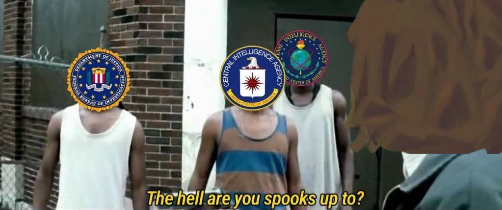 radbro webring is in control