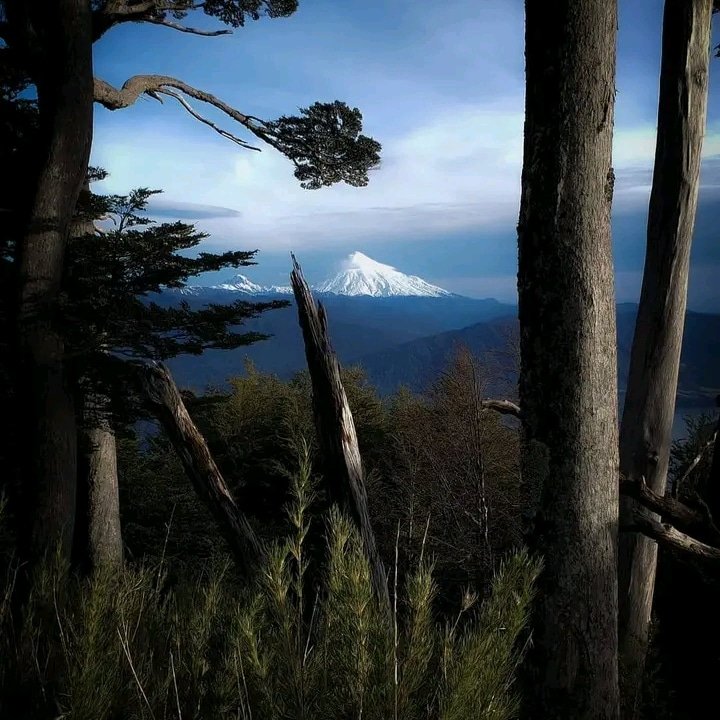 Elianne (@eliannerub59516) on Twitter photo 