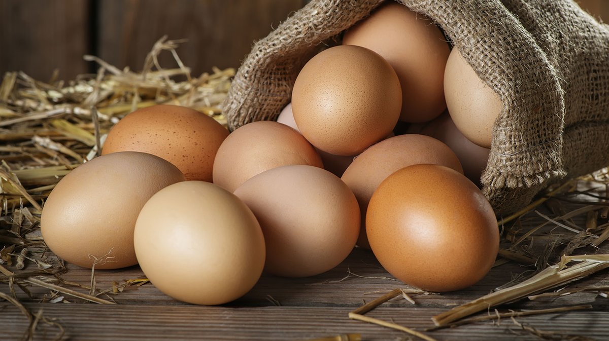 Sooo Tweeties, der Tag ist rum, hier frische 27° gegen 22 Uhr, kein Regen

Ich muss mal was los werden, weil diese "Unsitte" sich immer breiter macht.

Bitte mir keine DM mehr schicken, wo ihr euch über Ungarn oder Spanien und auch über die Leute die dort mal "leben" wollen