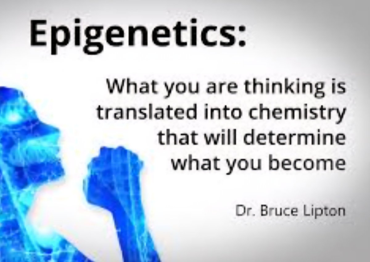 JPSoccerCoach's tweet image. "The biology of belief."
Can we empower our players to give them more agency, building their resilience & belief?
Their perceptions & attitudes create their reality. So, can we as coaches make them feel they are an important part of the group & that their contribution matters?