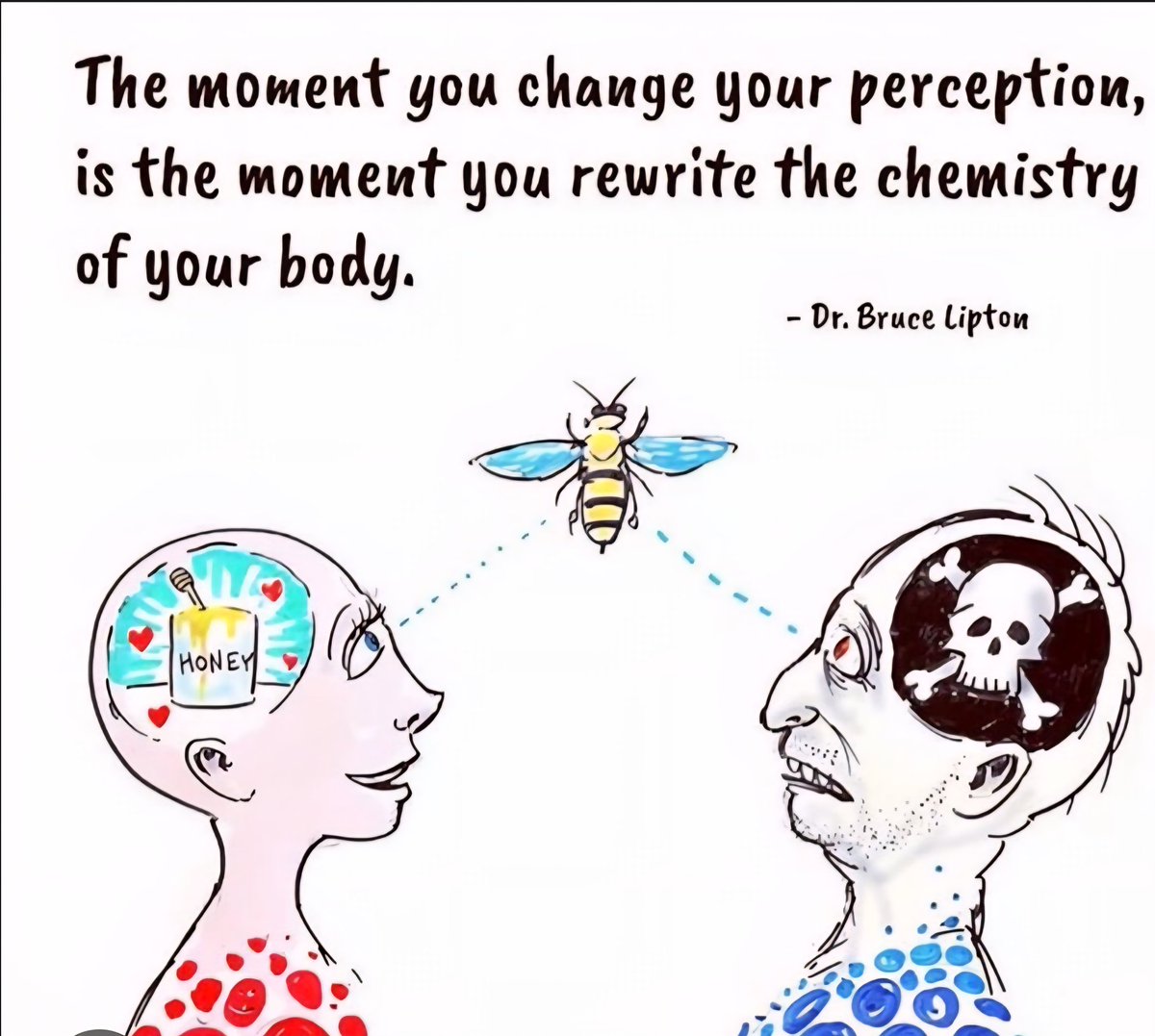 JPSoccerCoach's tweet image. "The biology of belief."
Can we empower our players to give them more agency, building their resilience & belief?
Their perceptions & attitudes create their reality. So, can we as coaches make them feel they are an important part of the group & that their contribution matters?