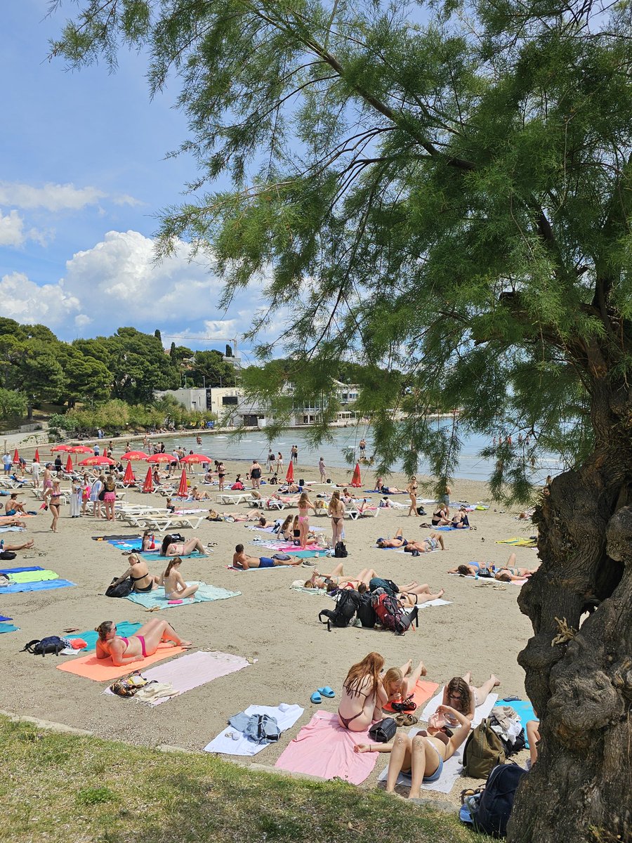 Split💥💥❤️❤️❤️