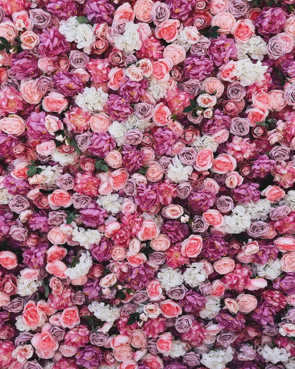 rubythejazzdiva's tweet image. SUMMER HAS BEEN SWINGING 🌞

Hellooo from me!👋🏼
From summer garden parties, weddings and jazz clubs, to festivals and soirees, I LOVE THEM ALL! Looking for entertainment for an upcoming event? Look no further - get in touch today!💗

R 💋

#thejazzdivaofourera #rubyrobinsonmusic