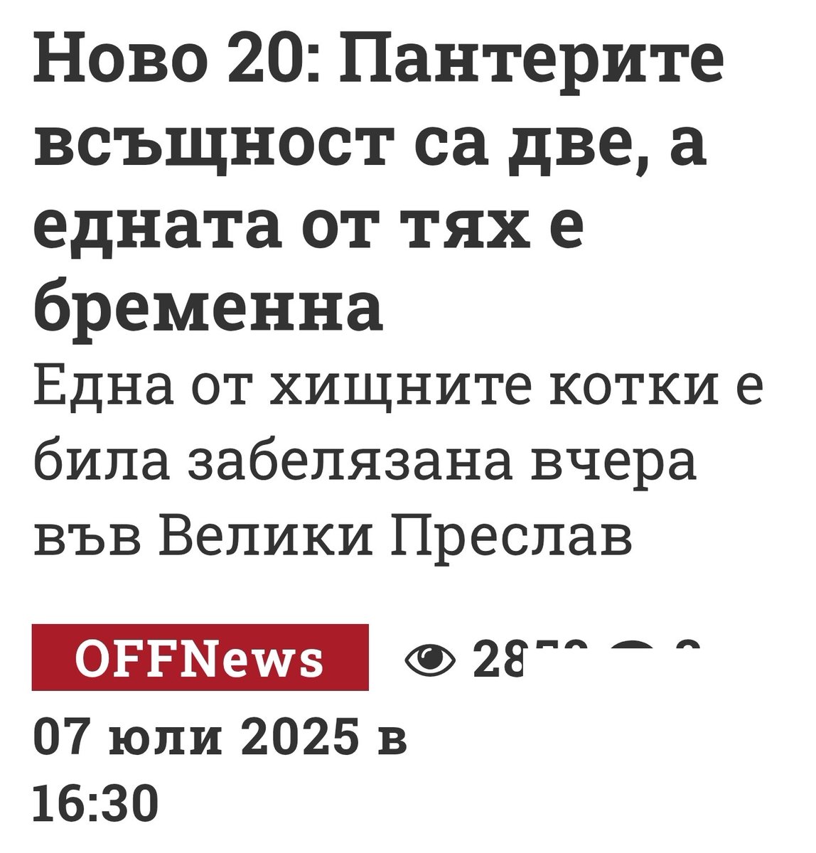 Мърко си има семейство 🥰