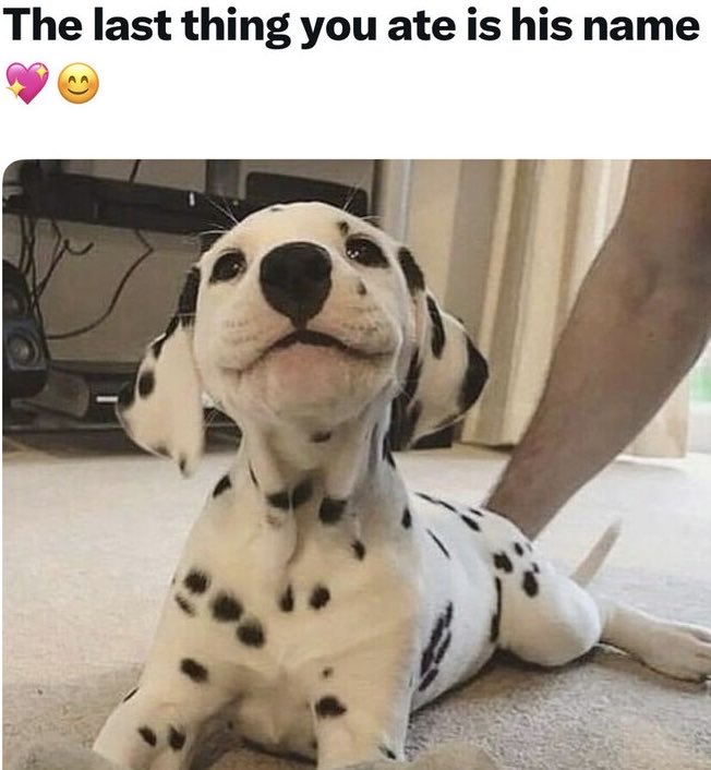 Blueberries 🤣 YOU?