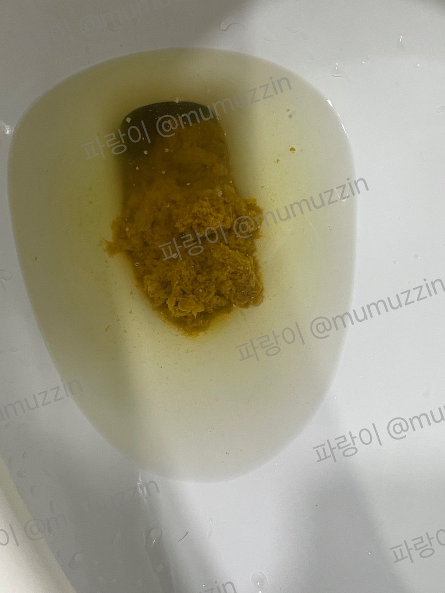 연속 두방

#스캇 #유플 #영상 #플영상