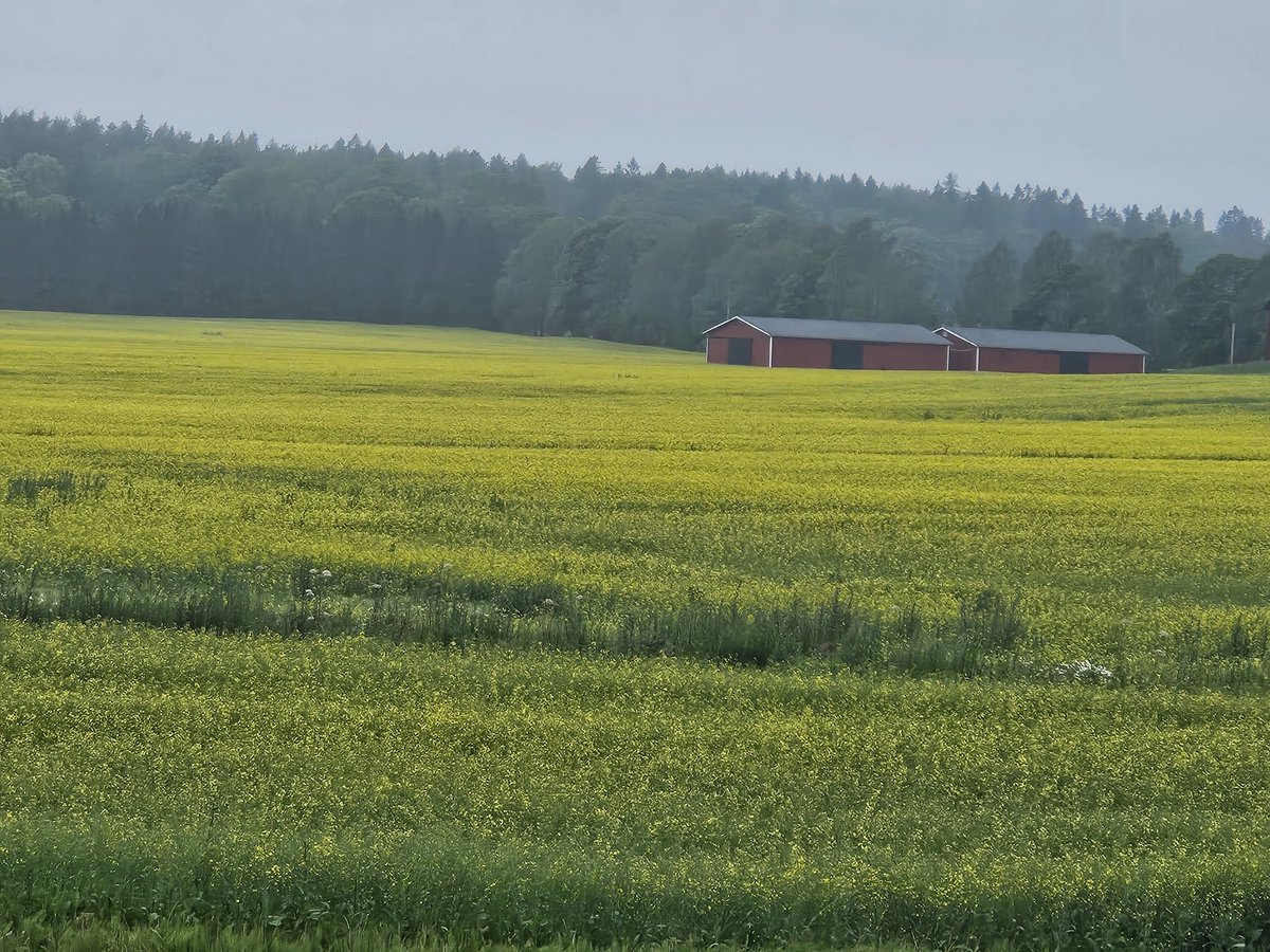 Maaseudun rauhaa pyöräretkellä, Helsingissä