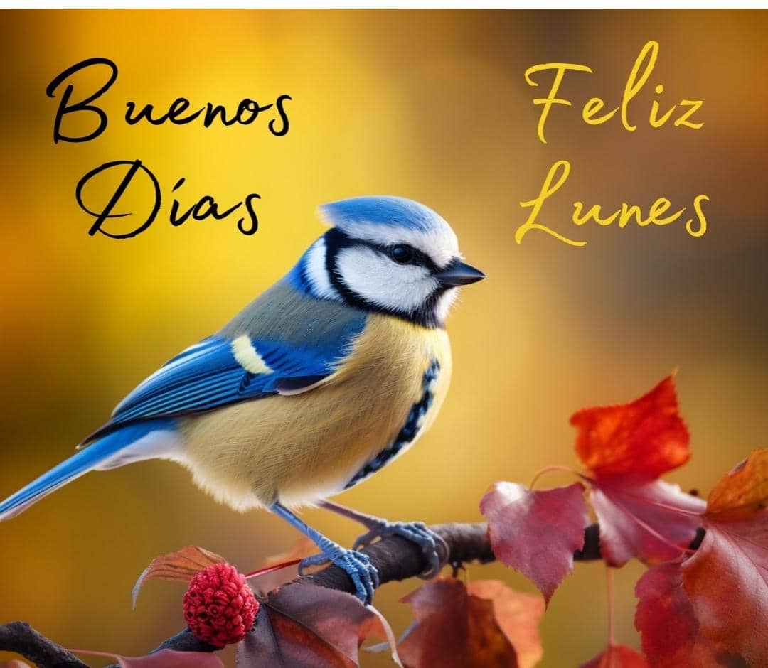 Rebeca Briceño (@dpiloncita) on Twitter photo <a href="/yami2336/">yami3020</a> <a href="/LaChina1305/">#LealAChavez❤️</a> <a href="/PrincesaDeHugo/">⚘ ্᭄͜͡ 𝒵𝓊𝓁ℯ𝒾𝓂𝒶⚘ ্᭄͜͡</a> <a href="/MaduroJefe/">Lealtad Suprema Comandante Chávez.</a> <a href="/jcy126kerubin/">Juan Kerubin 🇻🇪🇳🇮🇨🇺🇷🇺🇨🇳Z😇🤬</a> <a href="/KEIBERT03/">Cnel. Julio Serrano</a> <a href="/crperezalfaro/">Carlos Pérez Alfaro</a> <a href="/AjhpRH75/">ALEXA</a> <a href="/Dulce_Limon192/">Dulce Limon 🍋🍋🍋</a> <a href="/beatriz77748/">Beatriz Rojas ❤🌹</a> <a href="/LucenaVilma/">🌸💕Vilma Angulo Lucena💕🌸</a> <a href="/RRPIERU/">#EnVictoria</a> <a href="/SRPSBSJ/">ᗣɾtᥱ & ꋪꏂ꒦ꉻ꒒ꀎꏳ꒐ꉻ́ꂚ</a> <a href="/alenna_bell/">Caro Carrero</a> <a href="/Amapola10R/">🌷Amapola🌷</a> <a href="/domisol4f/">henry Revilla</a> <a href="/brichar2017/">Brichar2017</a> <a href="/antoniocarriza3/">Antonio Carrizales 3K</a> <a href="/ArielMA1963/">Ariel Marrero Aguilar</a> <a href="/NellyPSUVYa/">🇨🇺🇸🇾💋 NellyPSUVYa 🇻🇪</a> <a href="/Auyantepuy2021/">@𝓐𝓾𝔂𝓪𝓷-𝓣𝓮𝓹𝓾𝔂</a> Feliz día compañeros y compañeras de viaje por la vida que elegimos para aprender a vivirla en familia de ésta redondeta Pachamama. Seamos felices, lo demás viene por añadidura 😍 <a href="/yami2336/">yami3020</a> <a href="/LaChina1305/">#LealAChavez❤️</a> <a href="/PrincesaDeHugo/">⚘ ্᭄͜͡ 𝒵𝓊𝓁ℯ𝒾𝓂𝒶⚘ ্᭄͜͡</a> <a href="/MaduroJefe/">Lealtad Suprema Comandante Chávez.</a> <a href="/jcy126kerubin/">Juan Kerubin 🇻🇪🇳🇮🇨🇺🇷🇺🇨🇳Z😇🤬</a> <a href="/KEIBERT03/">Cnel. Julio Serrano</a> <a href="/crperezalfaro/">Carlos Pérez Alfaro</a> <a href="/AjhpRH75/">ALEXA</a> <a href="/Dulce_Limon192/">Dulce Limon 🍋🍋🍋</a> <a href="/beatriz77748/">Beatriz Rojas ❤🌹</a> <a href="/LucenaVilma/">🌸💕Vilma Angulo Lucena💕🌸</a> <a href="/RRPIERU/">#EnVictoria</a> <a href="/SRPSBSJ/">ᗣɾtᥱ & ꋪꏂ꒦ꉻ꒒ꀎꏳ꒐ꉻ́ꂚ</a> <a href="/alenna_bell/">Caro Carrero</a> <a href="/Amapola10R/">🌷Amapola🌷</a> <a href="/domisol4f/">henry Revilla</a> <a href="/brichar2017/">Brichar2017</a> <a href="/antoniocarriza3/">Antonio Carrizales 3K</a> <a href="/ArielMA1963/">Ariel Marrero Aguilar</a> <a href="/NellyPSUVYa/">🇨🇺🇸🇾💋 NellyPSUVYa 🇻🇪</a> <a href="/Auyantepuy2021/">@𝓐𝓾𝔂𝓪𝓷-𝓣𝓮𝓹𝓾𝔂</a> Feliz día compañeros y compañeras de viaje por la vida que elegimos para aprender a vivirla en familia de ésta redondeta Pachamama. Seamos felices, lo demás viene por añadidura 😍