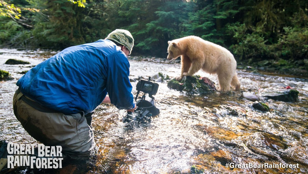 Sask Science Centre (@sksciencecentre) on Twitter photo 🎬 Last Chance to Catch These Wild Adventures!
Time is running out to experience Great Bear Rainforest 3D and Beavers — ending tomorrow!
📅 Final showings: Today & Tomorrow ONLY
🎟️ tickets.sasksciencecentre.com/default.aspx?t… 🎬 Last Chance to Catch These Wild Adventures!
Time is running out to experience Great Bear Rainforest 3D and Beavers — ending tomorrow!
📅 Final showings: Today & Tomorrow ONLY
🎟️ tickets.sasksciencecentre.com/default.aspx?t…