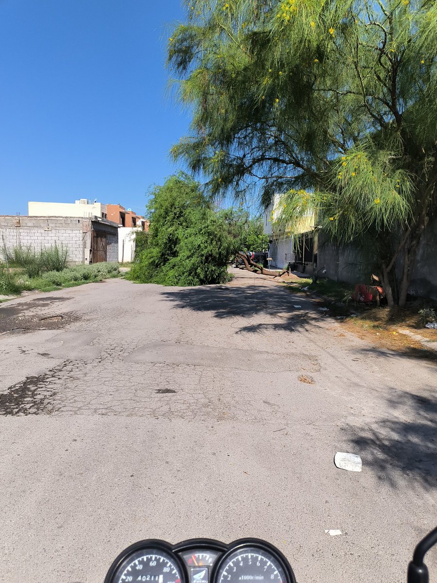 ObservandoC's tweet photo. @MunicipioTRC @BomberosTRC calle Sauzal casi esquina con Nogalar 
Tapa toda la vía https://t.co/BzqGs7kZma