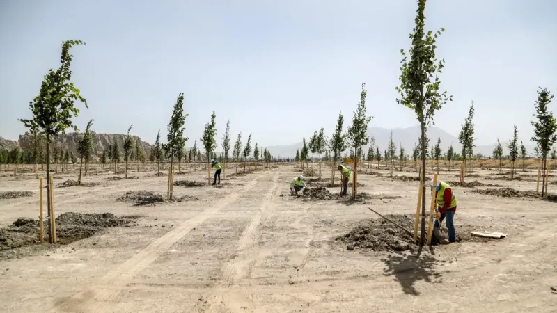 80 Bin Metrekarelik Alanda Yapılacak Ihlamur Parkı, Van’a Renk Katıyor
vanhavadis.com/haber/25459137…