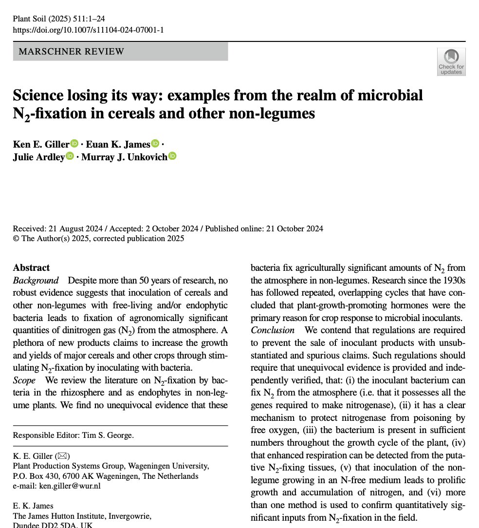 No hay evidencia sólida de que cereales y otras no leguminosas inoculadas con bacterias fijen nitrógeno atmosférico en cantidad significativa.

Aplica a bacterias rizosféricas y endófitas.

Los efectos positivos se explican por otros mecanismos promotores del crecimiento.