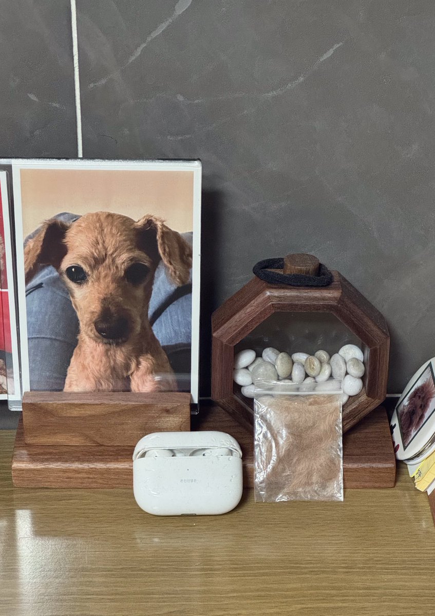 곱슬머리 내 동생 사랑해 

2024.7.7