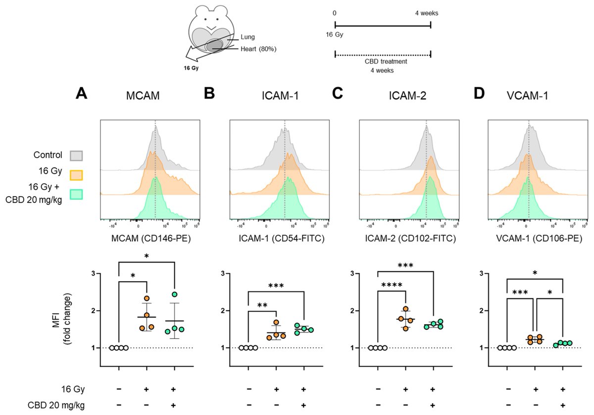 📈Highly Accessed Paper📈

💡"Cannabidiol Mediates Beneficial Effects on the Microvasculature of Murine Hearts with Regard to Irradiation-Induced Inflammation and Early Signs of Fibrosis" by Lisa Bauer et al.

🔗Read it here: mdpi.com/2673-592X/5/2/…

#Radiation #OpenAccess #MDPI