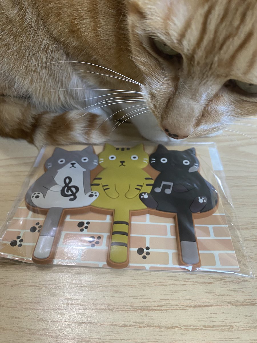 nekohige22's tweet image. 猫マグネット、
ありがとうございました🙇‍♀️