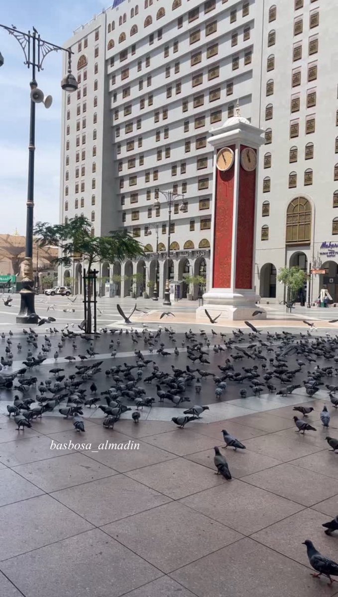 كل شبر فيها يحكي قصة، كل موضع فيه ذكرى، المسجد النبوي، حجرات أمهات المومنين، بيوت الصحابة، البقيع، 
أحد، الخندق، مصلى الرسول، قباء ،مسجد الجمعة، مسجد القبلتين،
هنا وضع النبي قدميه ، هناك جلس، وهنا توضأ.
في مدينة رسول الله يكفي استشعارك بجواره حسبك أنك ضيفه💚.