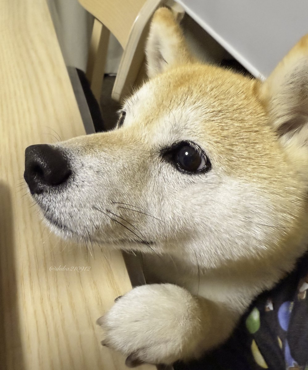 ほしいほしいポジション