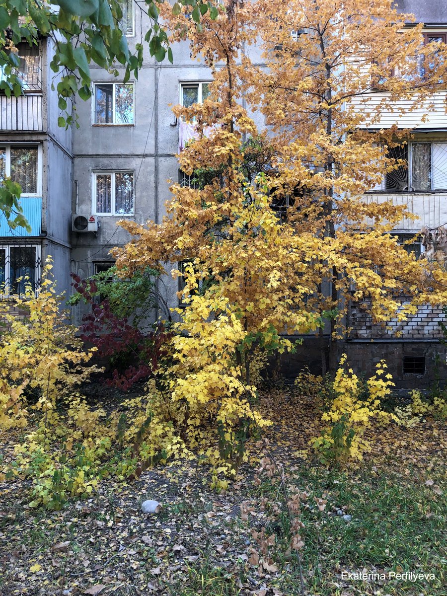 UNEP_Europe's tweet image. In Bishkek, clover leaves, lichens &amp;amp; migratory birds are sounding the alarm.

A new @UNEP-supported report identifies pollution &amp;amp; ecological stress—but also hope.

Nature-based solutions can make cities cooler and greener. We just have to listen.🐦

👉🔗 aqcaplatform.asia/investigate/34