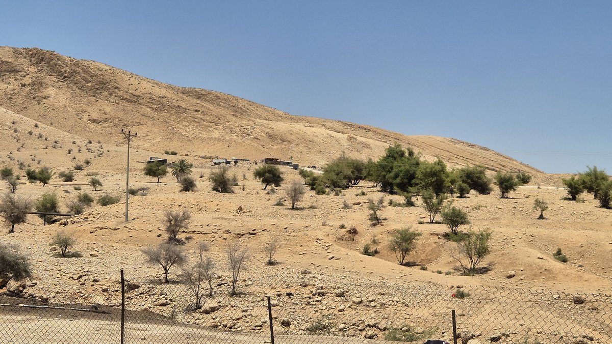 סלאמה כעבנה, תושב קהילת ראס אל-עוג'ה שסובלת מהתנכלויות מתנחלים מהמאחז הסמוך: "אנחנו מפחדים מהם, אבל אנחנו גרים כאן למעלה מ-70 שנה. אין לנו לאן ללכת. זה המצב בכל האזור".