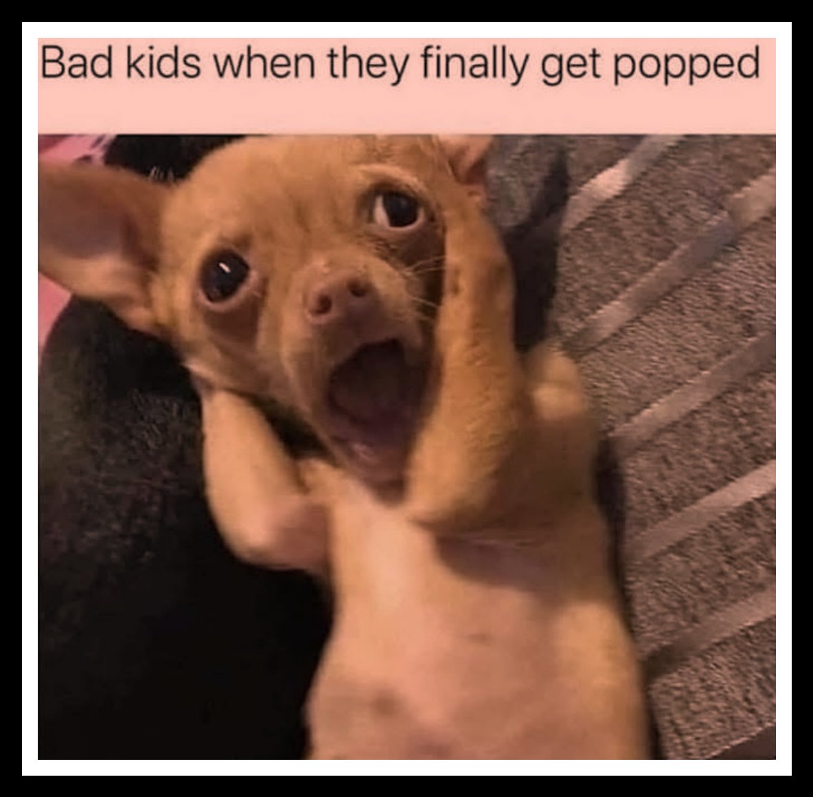 😄🤭😂