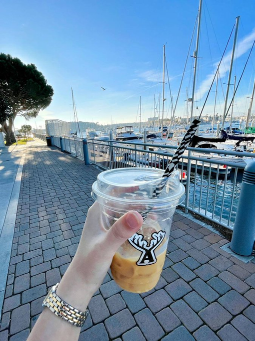 The cozy atmosphere, the quality of the Alfred coffee refreshes the mind.