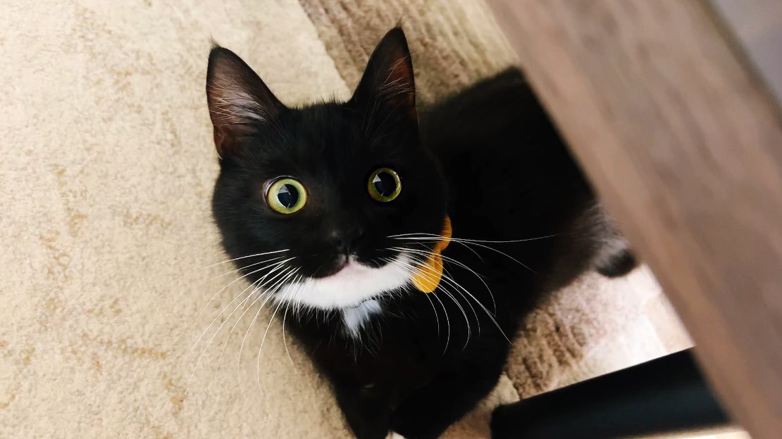 今日は七夕🎋🌌
みんなが健やかに過ごせますように