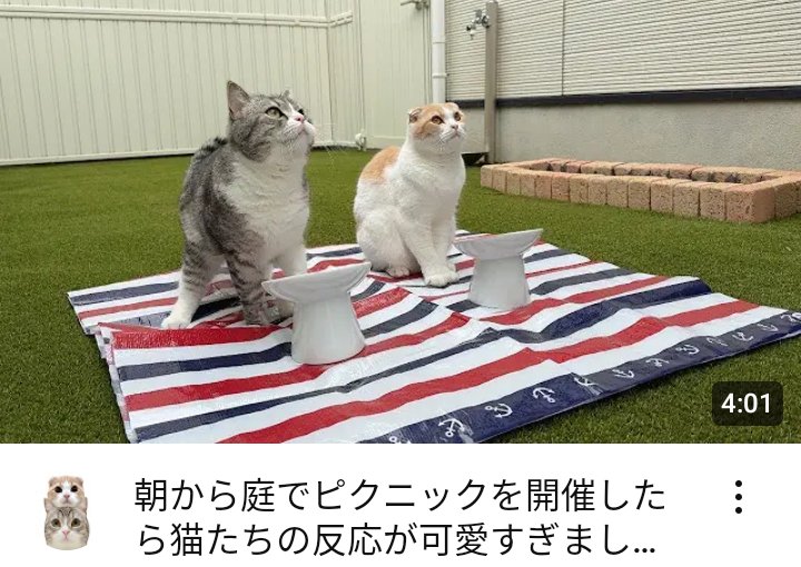 はなざくろ (@hana_zakulo) / X