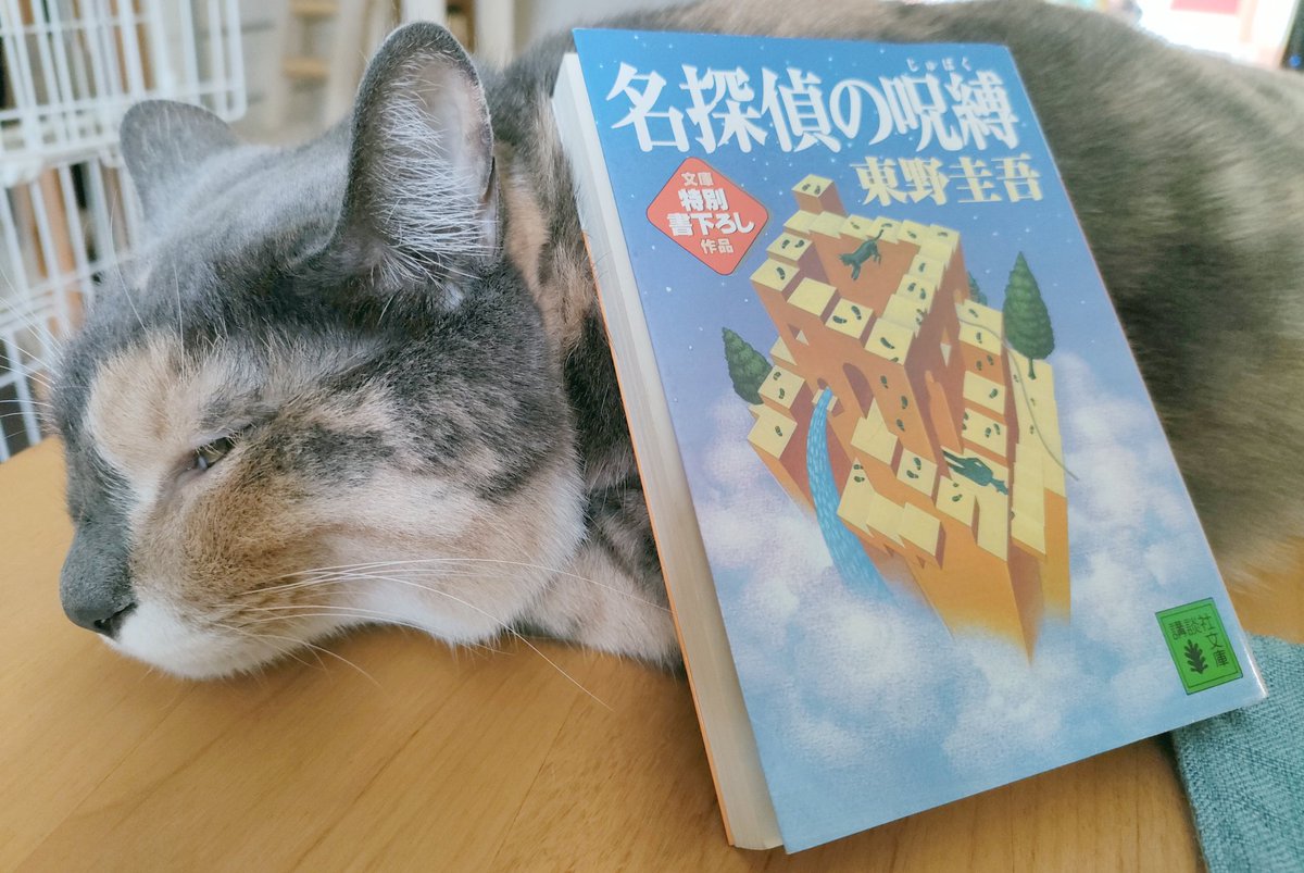 #読了
『名探偵の呪縛』東野圭吾
本格推理の概念がない異世界に迷い込むところから始まる話。
ミステリとは少し違ったけど、本格推理小説への愛が感じられる気がする読後感で嬉しくなった。
登場人物がキャラ設定だけで動いてる感じなのもなんだか納得。こぢんまりした内容だけどサクッと楽しめた。